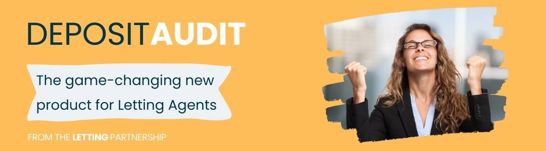 Introducing DepositAudit